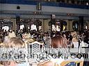 women tour yalta 0704 30